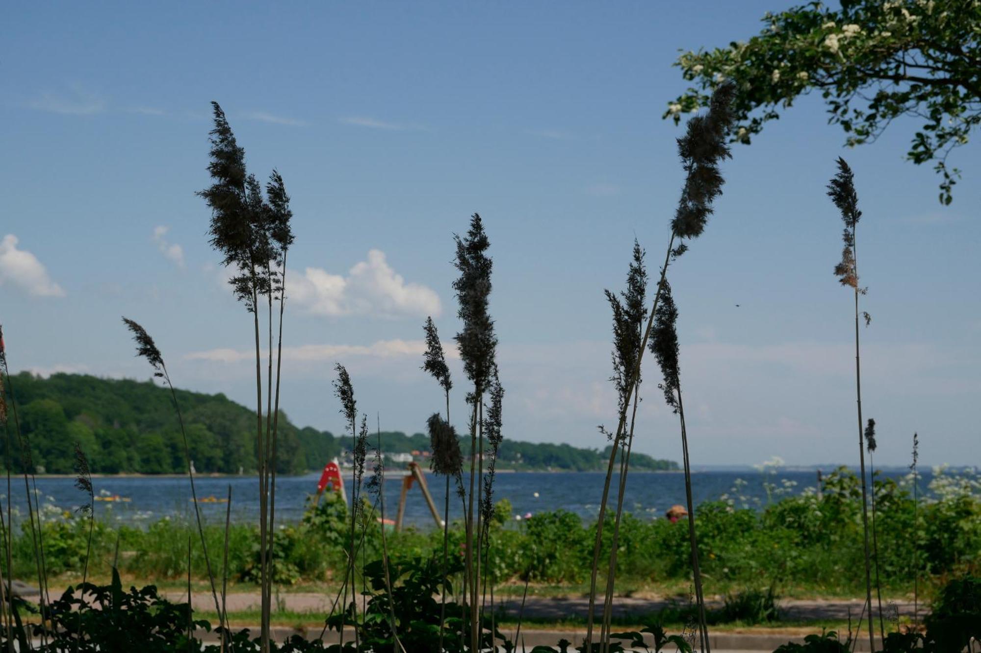 Lieblingsplatz -Wunderschoen, Mit Blick Auf Die Foerde ฮาร์ริสลี ภายนอก รูปภาพ